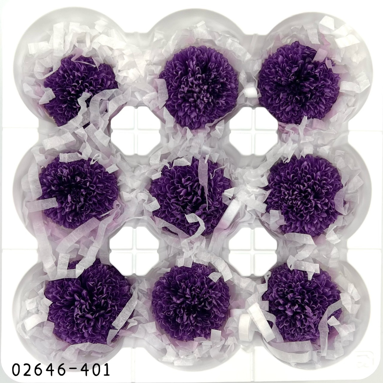 不凋乒乓菊(9朵) 02646-401