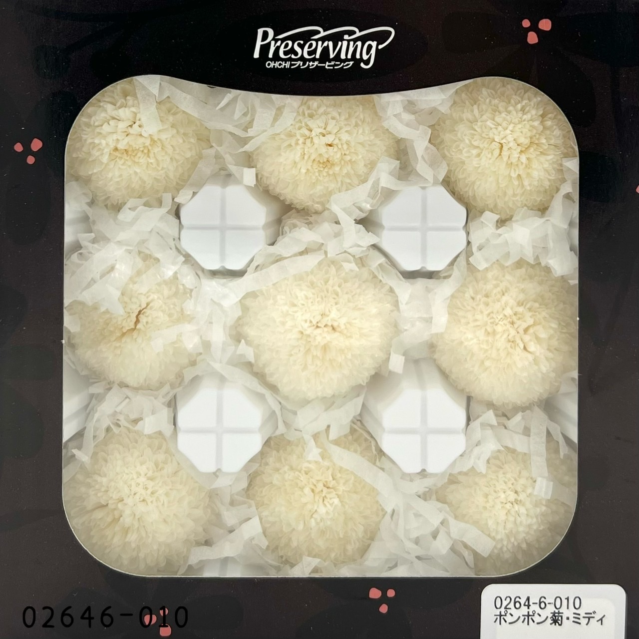 不凋乒乓菊(9朵) 02646-010