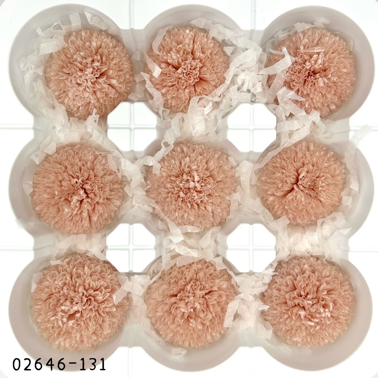 不凋乒乓菊(9朵) 02646-131