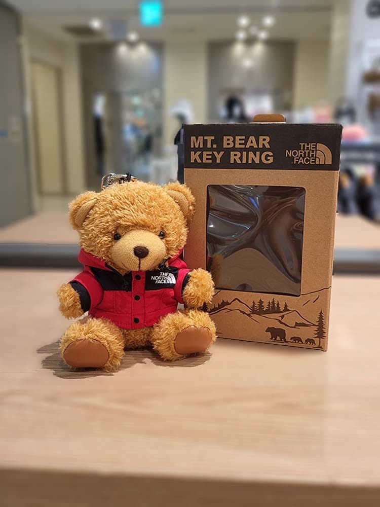 【OWN】The North Face MT BEAR KEYRING 泰迪 小熊 吊飾 娃娃 限量 國外限定