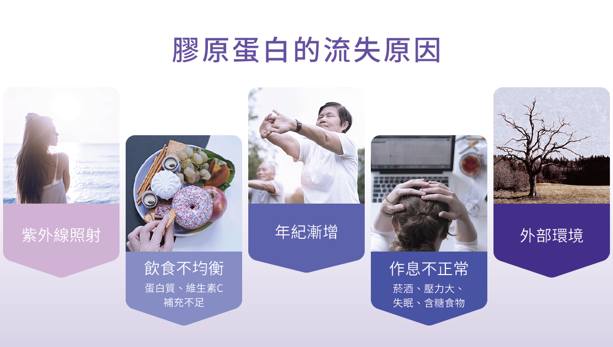 膠原蛋白的流失原因,紫外線照射、飲食不均衡、年紀漸增、作息不正常、外部環境