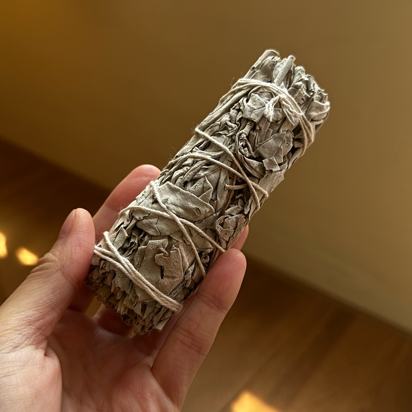 [原石] 鼠尾草一捆