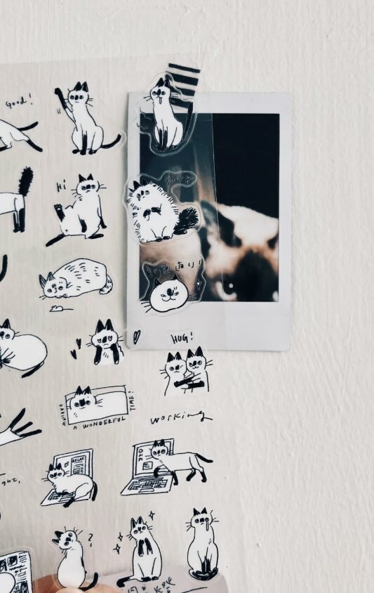 Some Sort of Fern - Cat transparent stickers