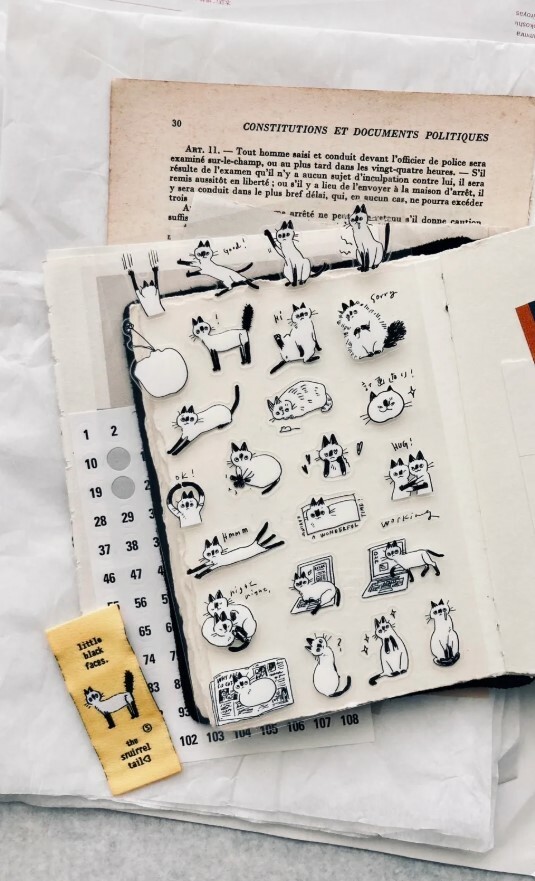 Some Sort of Fern - Cat transparent stickers