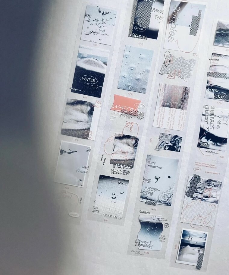 Some Sort of Fern - Water Glossy PET tape