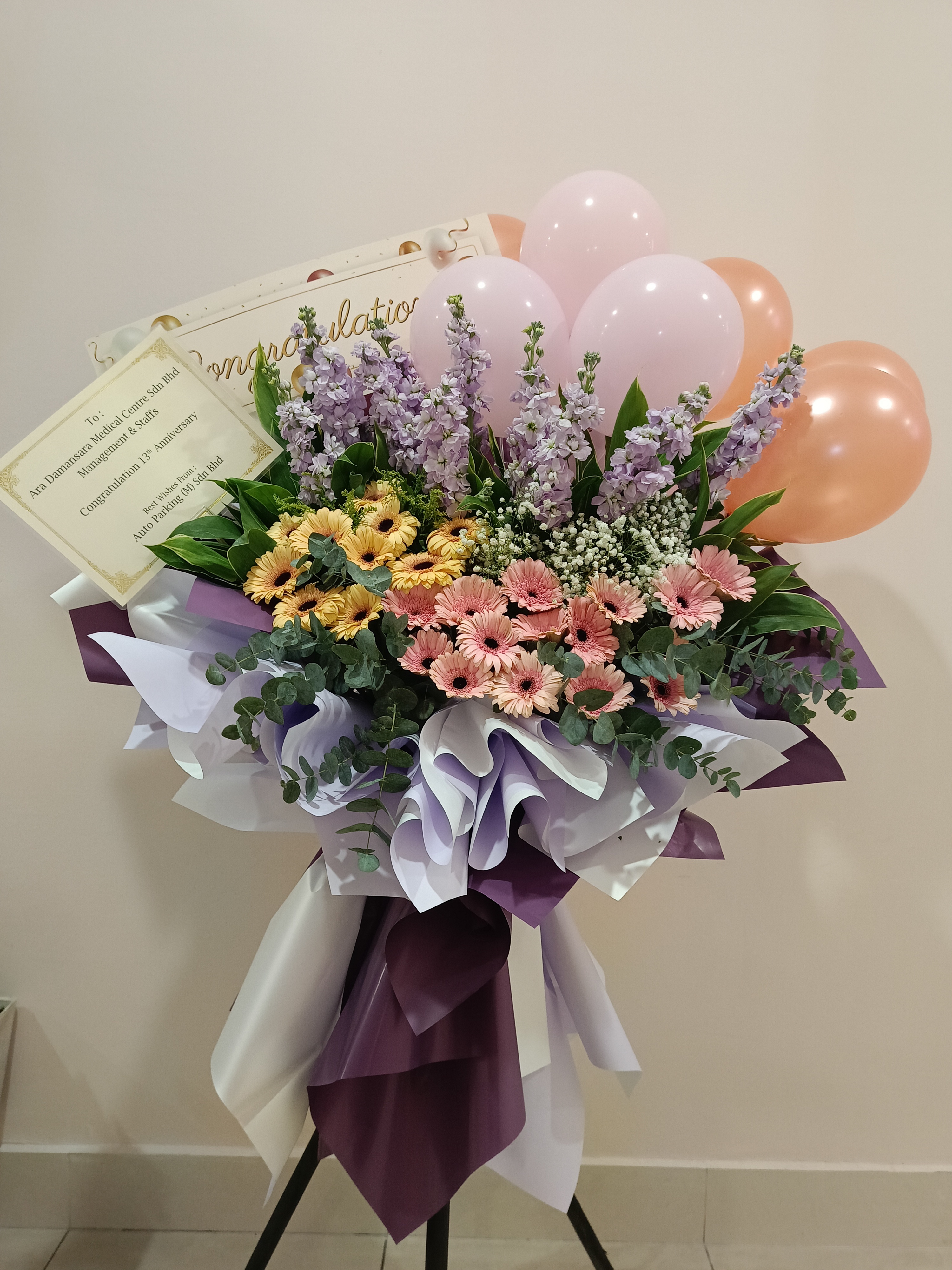 Grand Opening - GO44