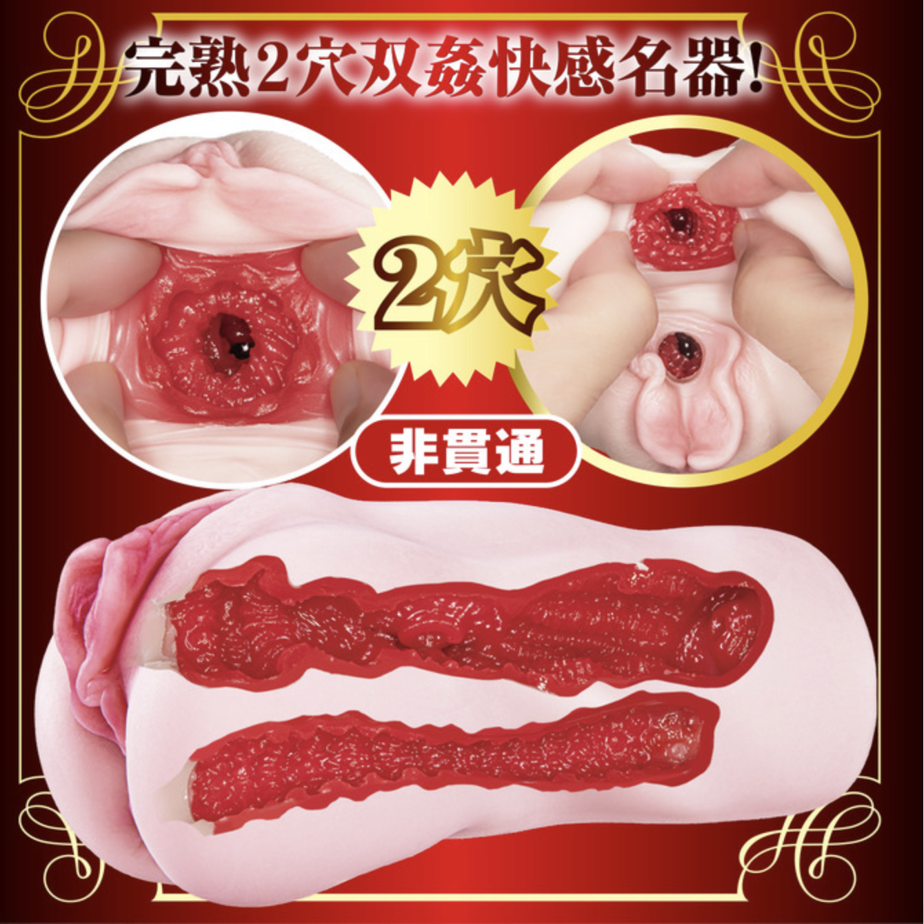 NPG Aika Yamagishi Complete Replica of a Mature Pussy and Anus