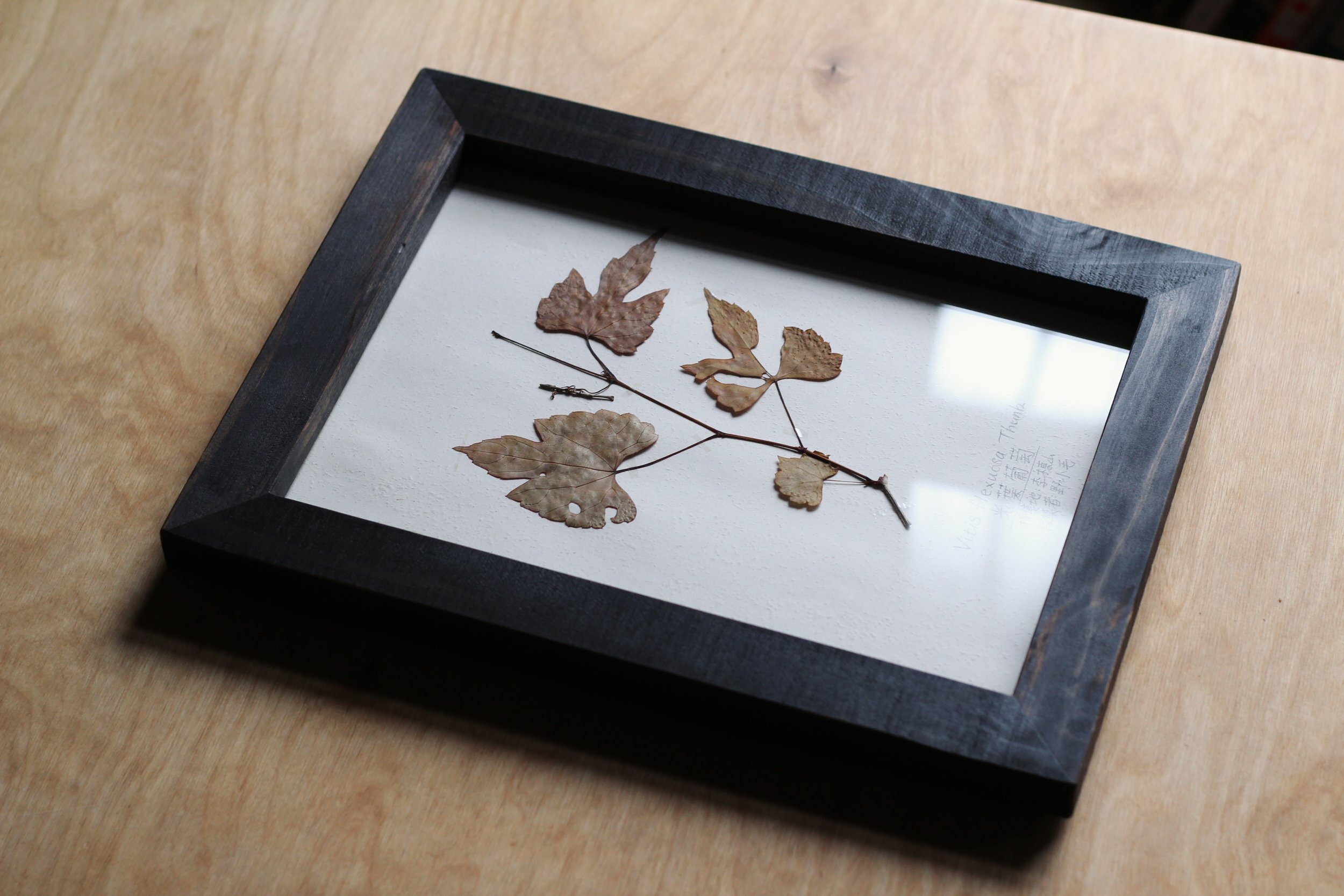 拾未 SHIWEII｜染黑台灣杉木｜直角框景