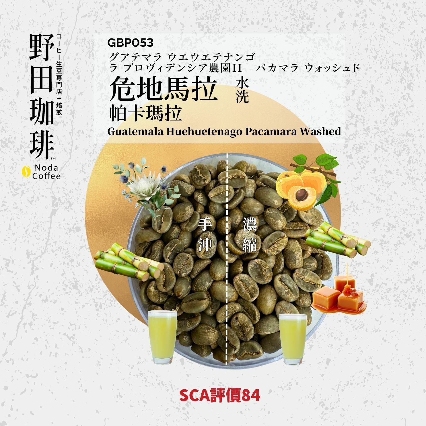 GBP053 危地馬拉 Huehuetenango Pacamara 水洗