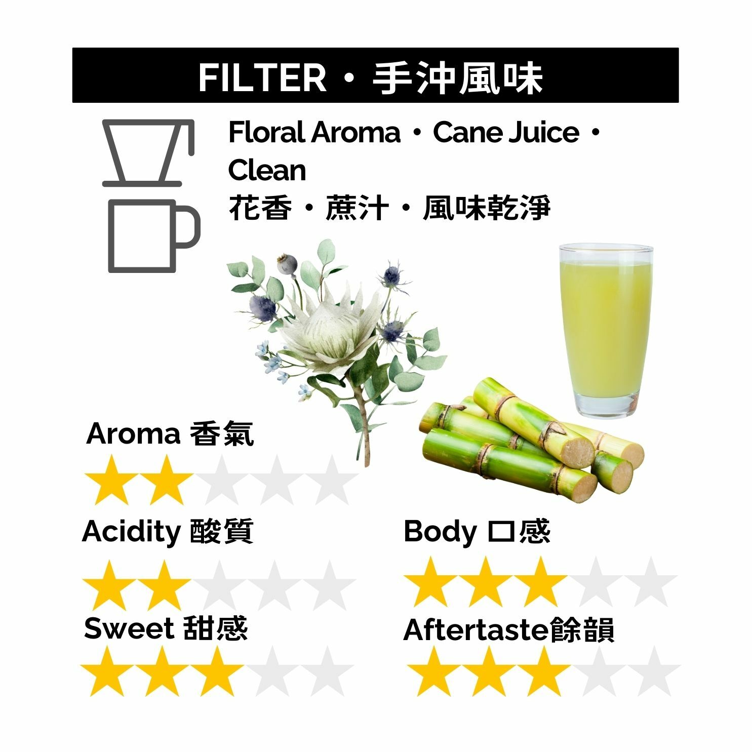 GBP053 危地馬拉 Huehuetenango Pacamara 水洗