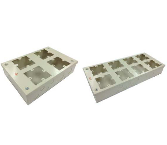 MB004 "孖寶牌"  掣蘇鐵箱