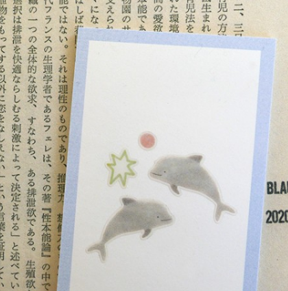 透明手帳用貼紙 海洋生物｜ SUATELIER 韓國