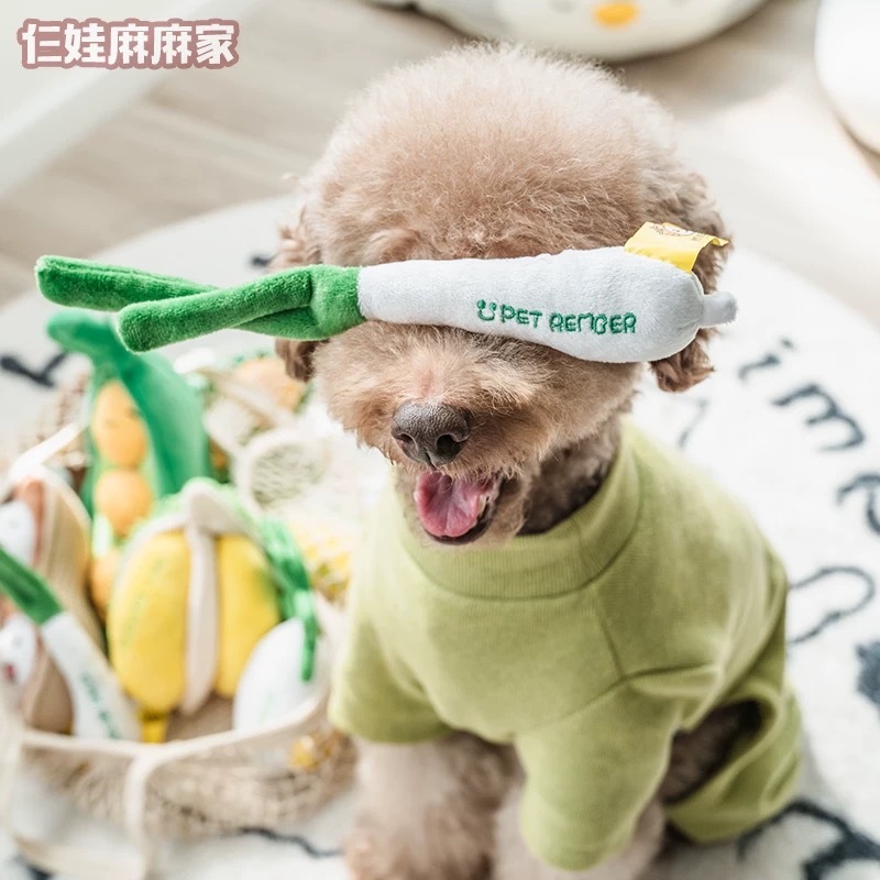 PET REMEMBER 韩系 蔬菜水果发声玩具 可藏食
