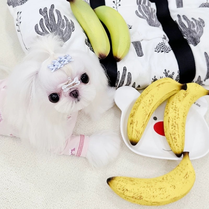 PET REMEMBER 韩系 宠物仿真香蕉乳胶发声玩具