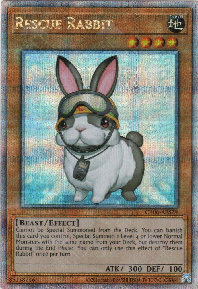 CR06-AES29 Rescue Rabbit