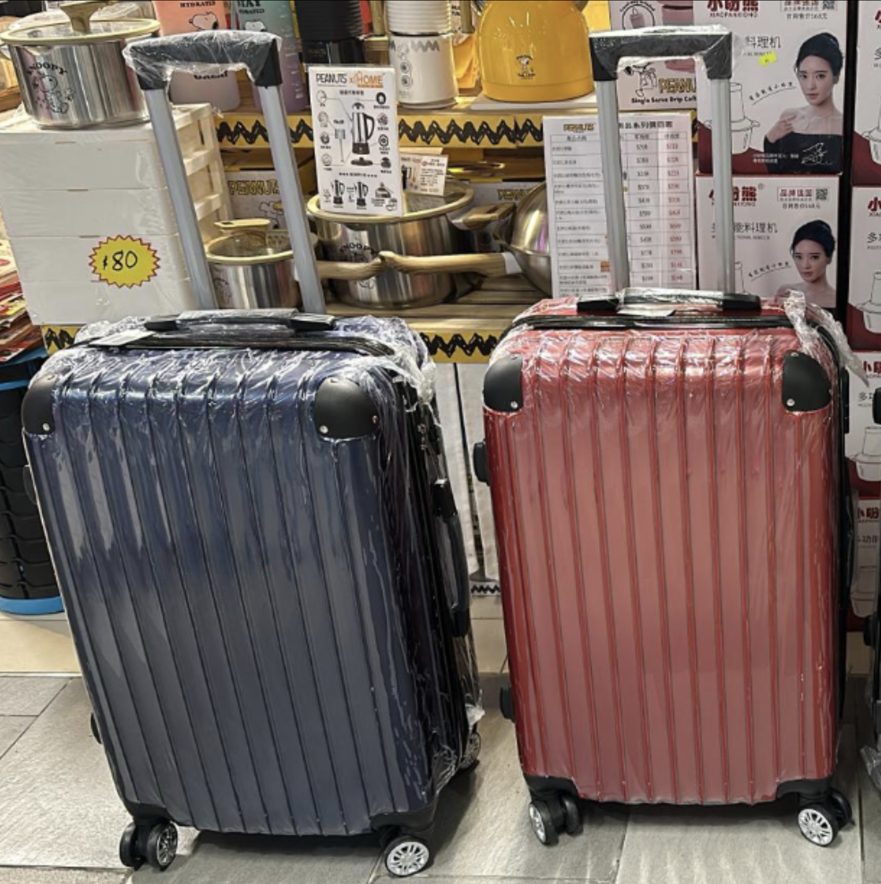 Luggage 24"