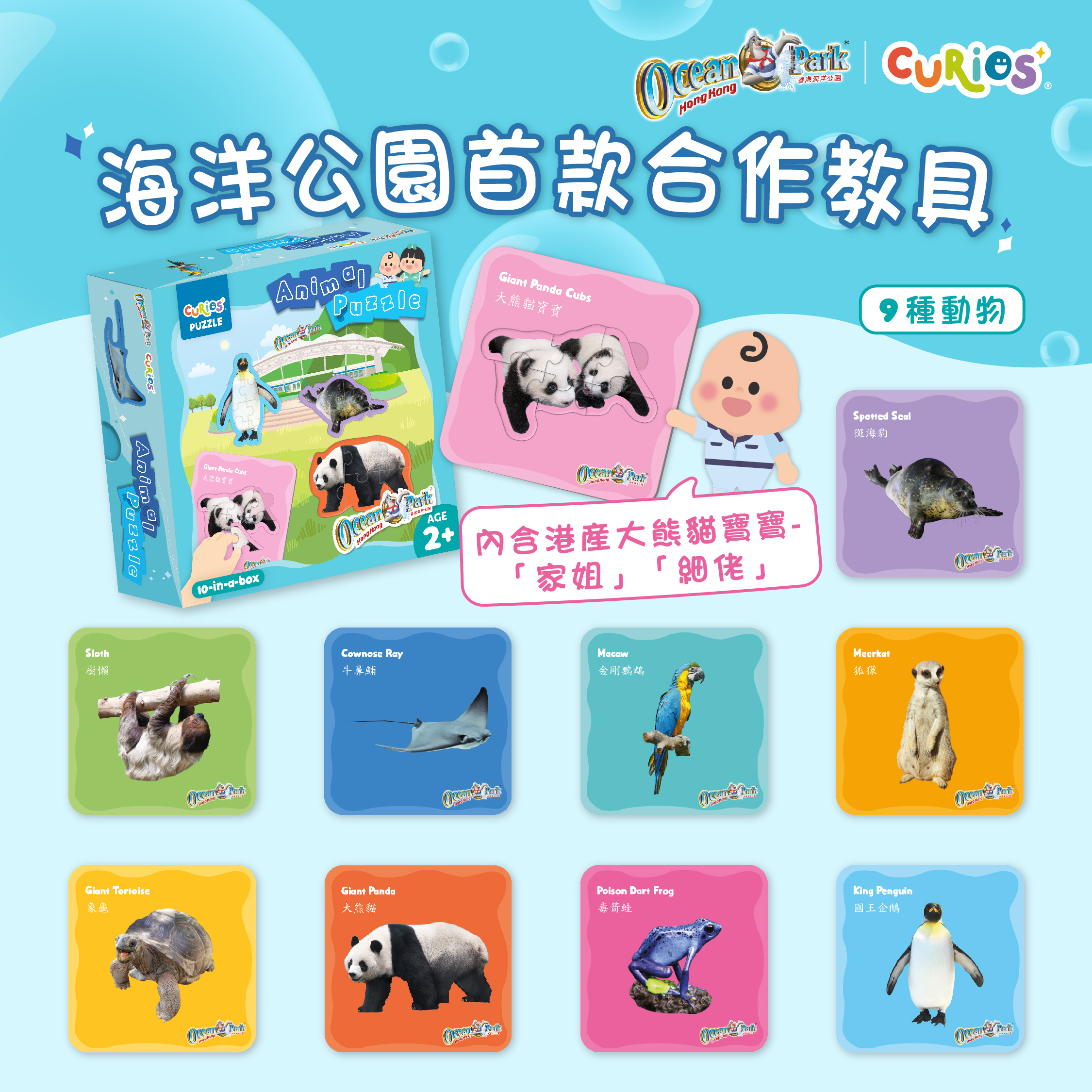 Curios®  海洋公園動物拼圖