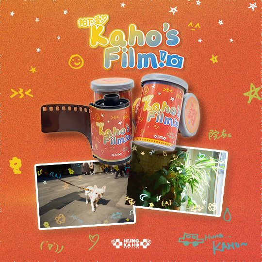【拍下愛 Kaho‘s Film】特效菲林