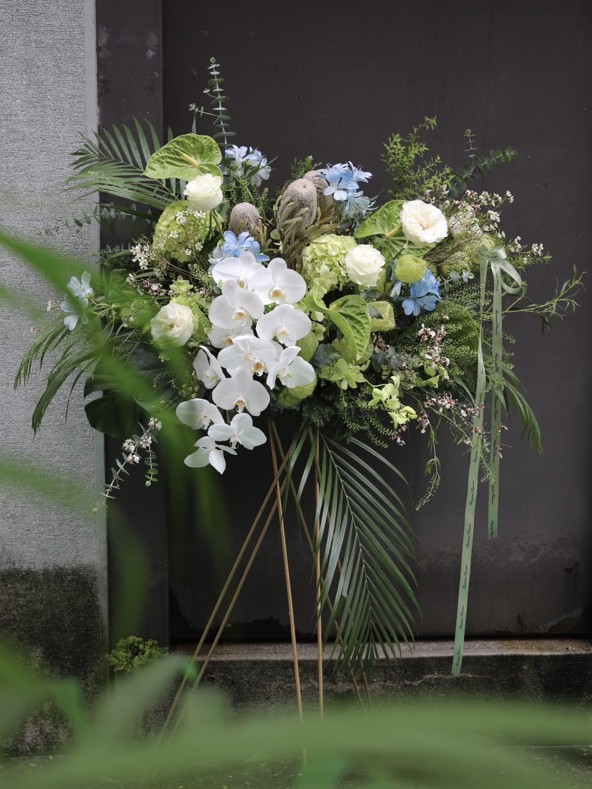 高雅白綠系蝴蝶蘭高架花籃