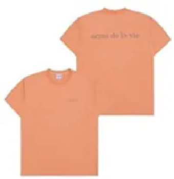 [S] ADLV BASIC LOGO BIO WASHING SHORT SLEEVE T-SHIRT,PEACH, ADLV24SS-SSLBBW-PCH (SAV381)