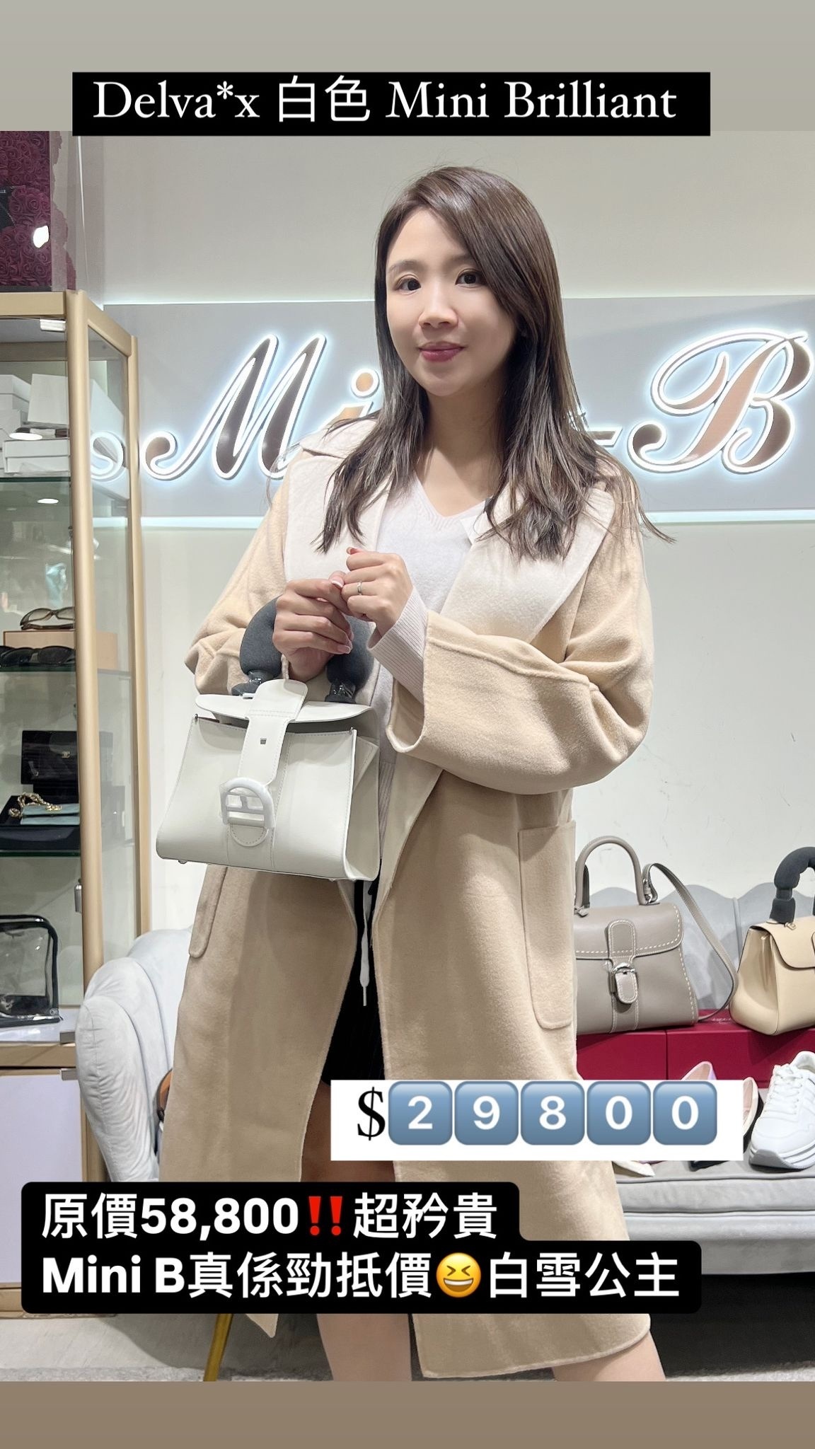 Delvaux brillant mini 白色-M