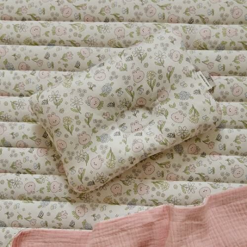 DTD玩轉人物宇宙探險/花叢兔兔/登園嘟嘟車-雙面方形枕