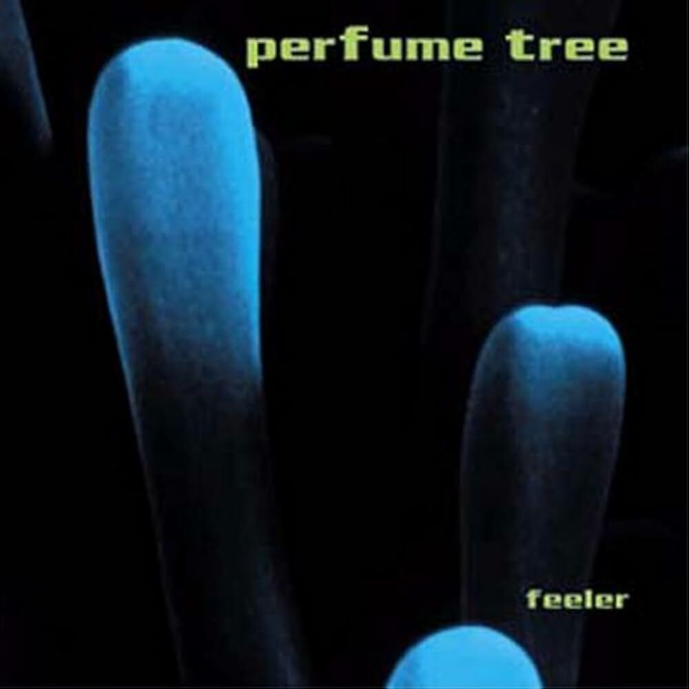 Perfume Tree《Feeler》（CD）