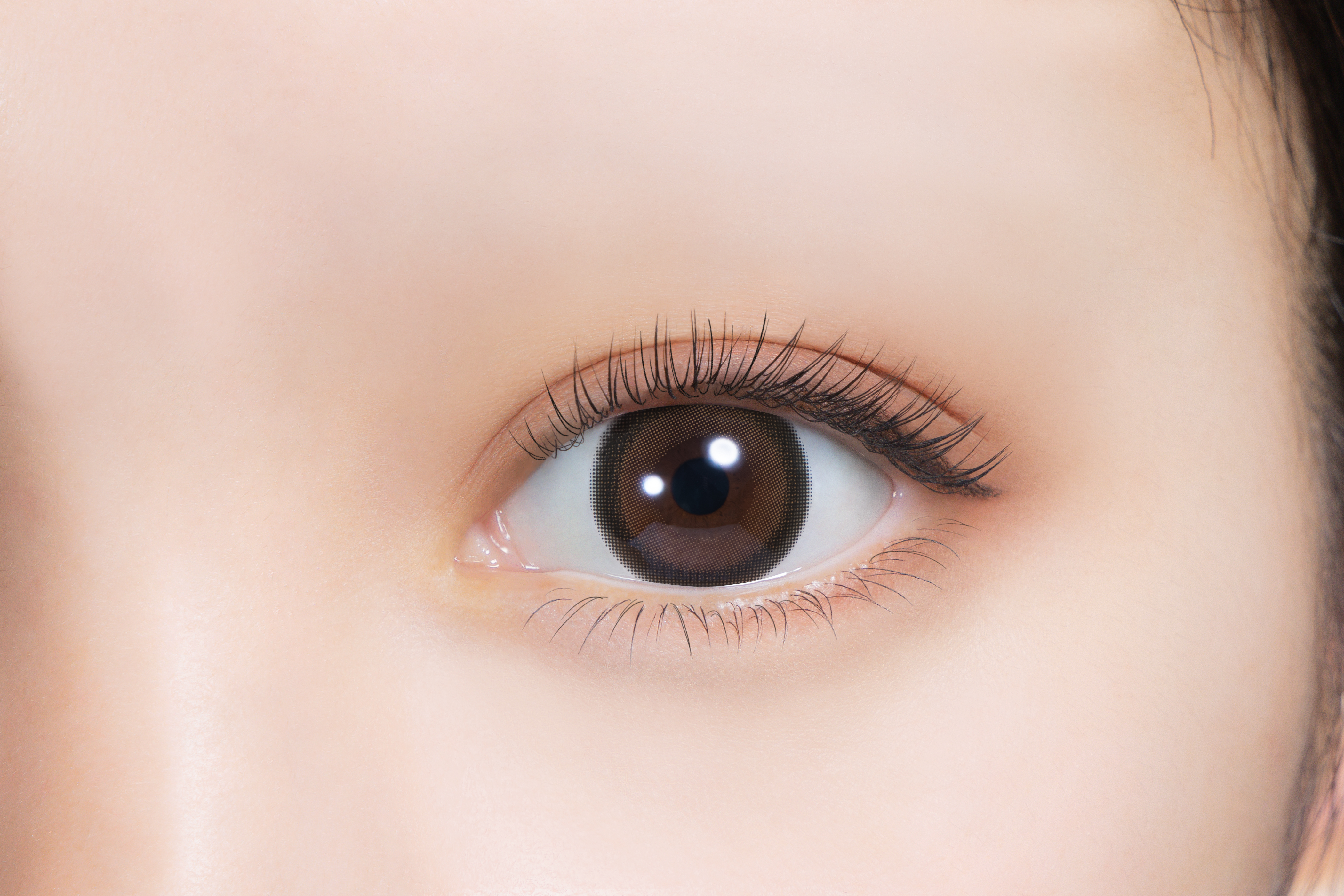 Feliamo Color Contact 1Month 月拋型有色隱形眼鏡 2片 Tarte Tatin