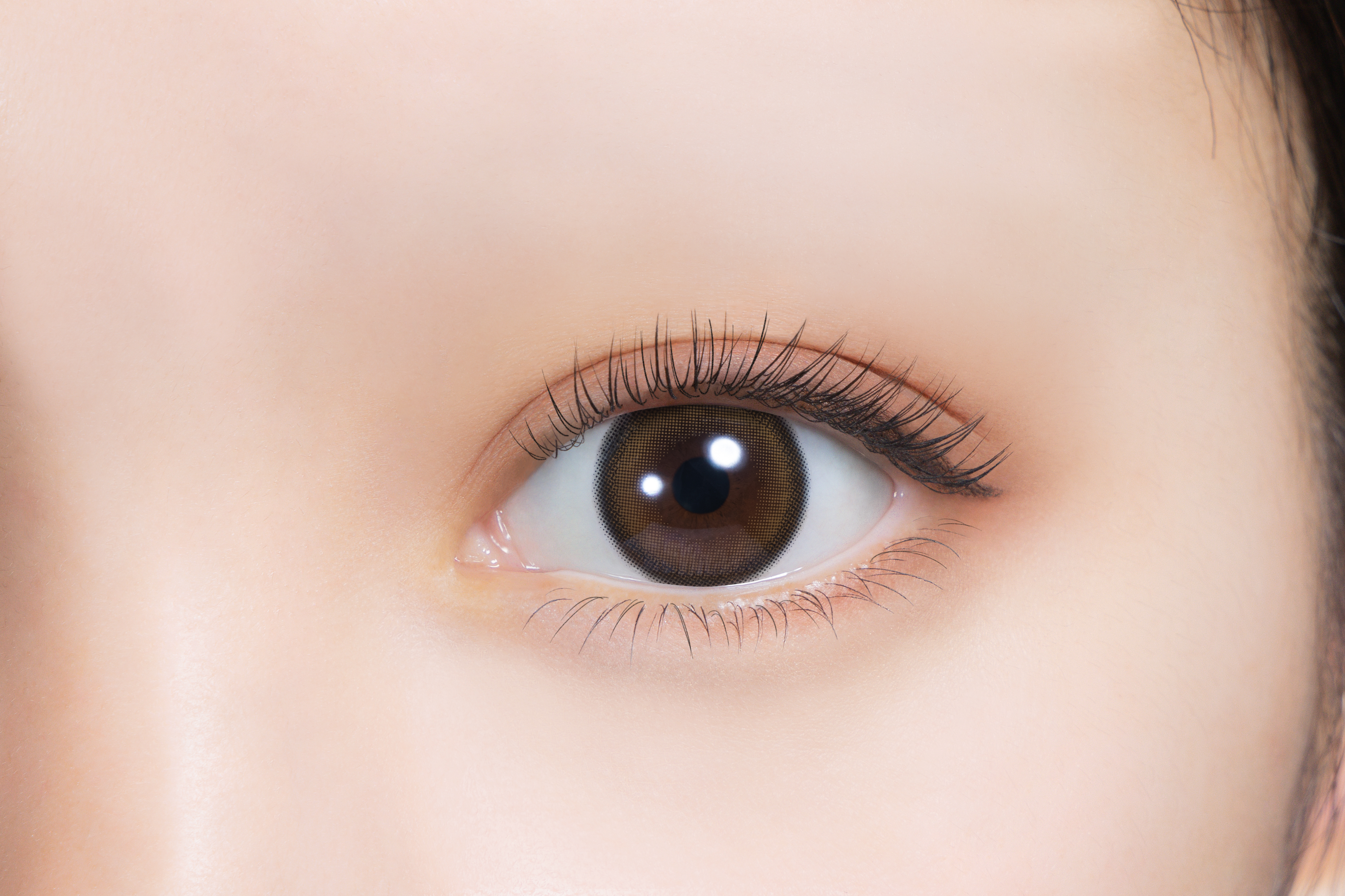 Feliamo Color Contact 1Month 月拋型有色隱形眼鏡 2片 Oolong Tea