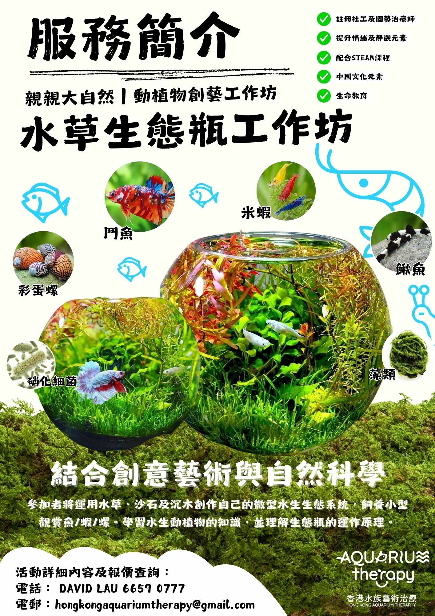 水草生態瓶工作坊