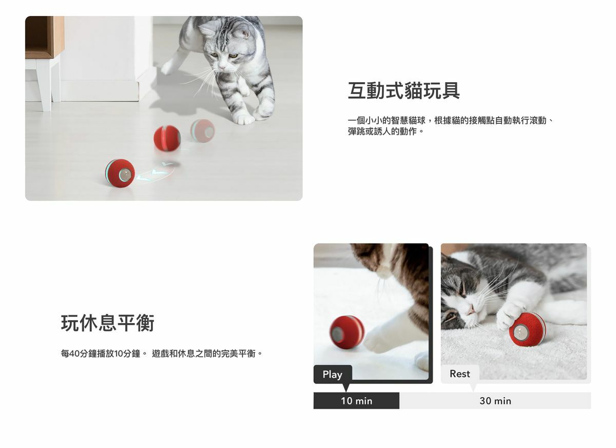 Cheerble M1貓用互動式電動球
