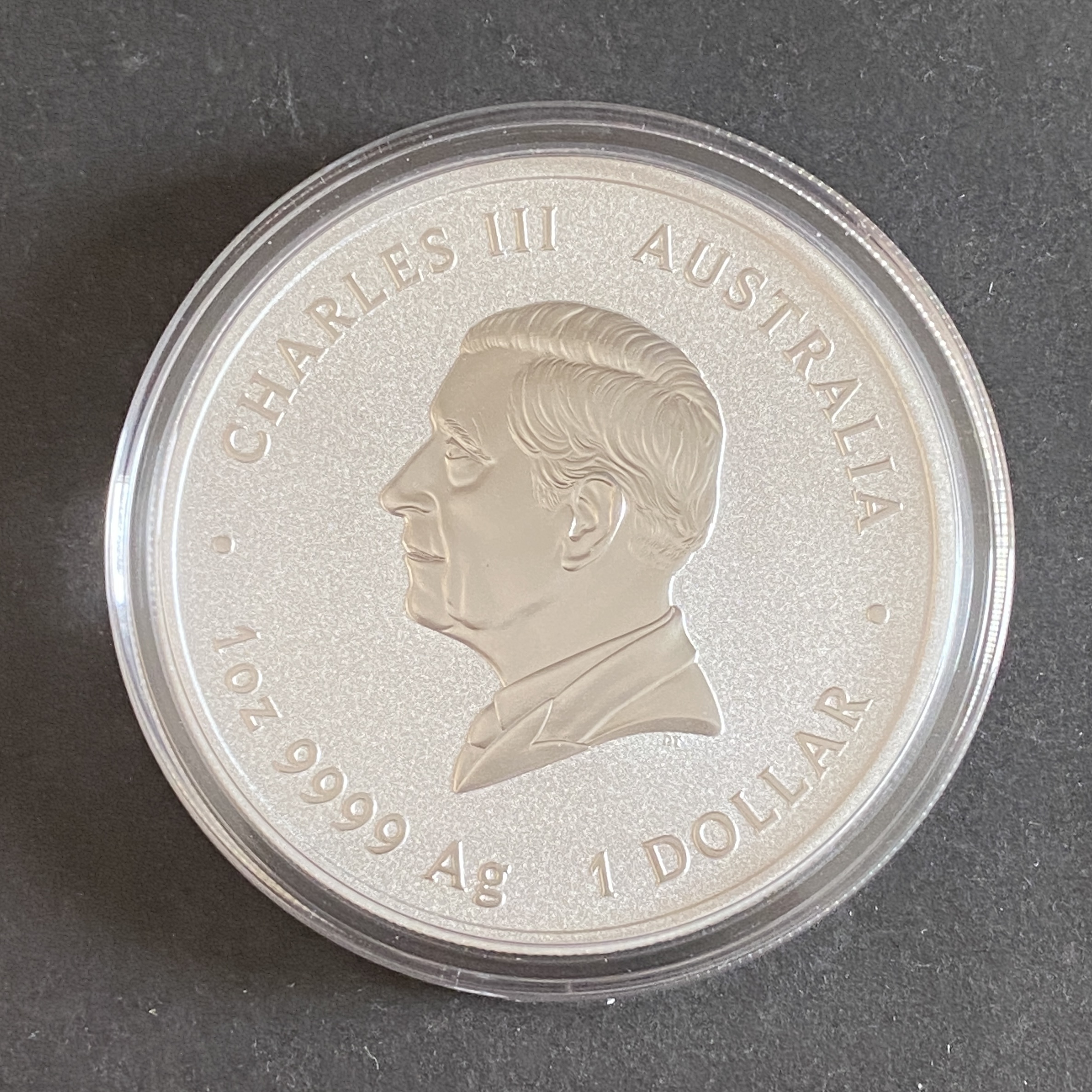 2024 Australian 1 Oz Quokka Silver Coin