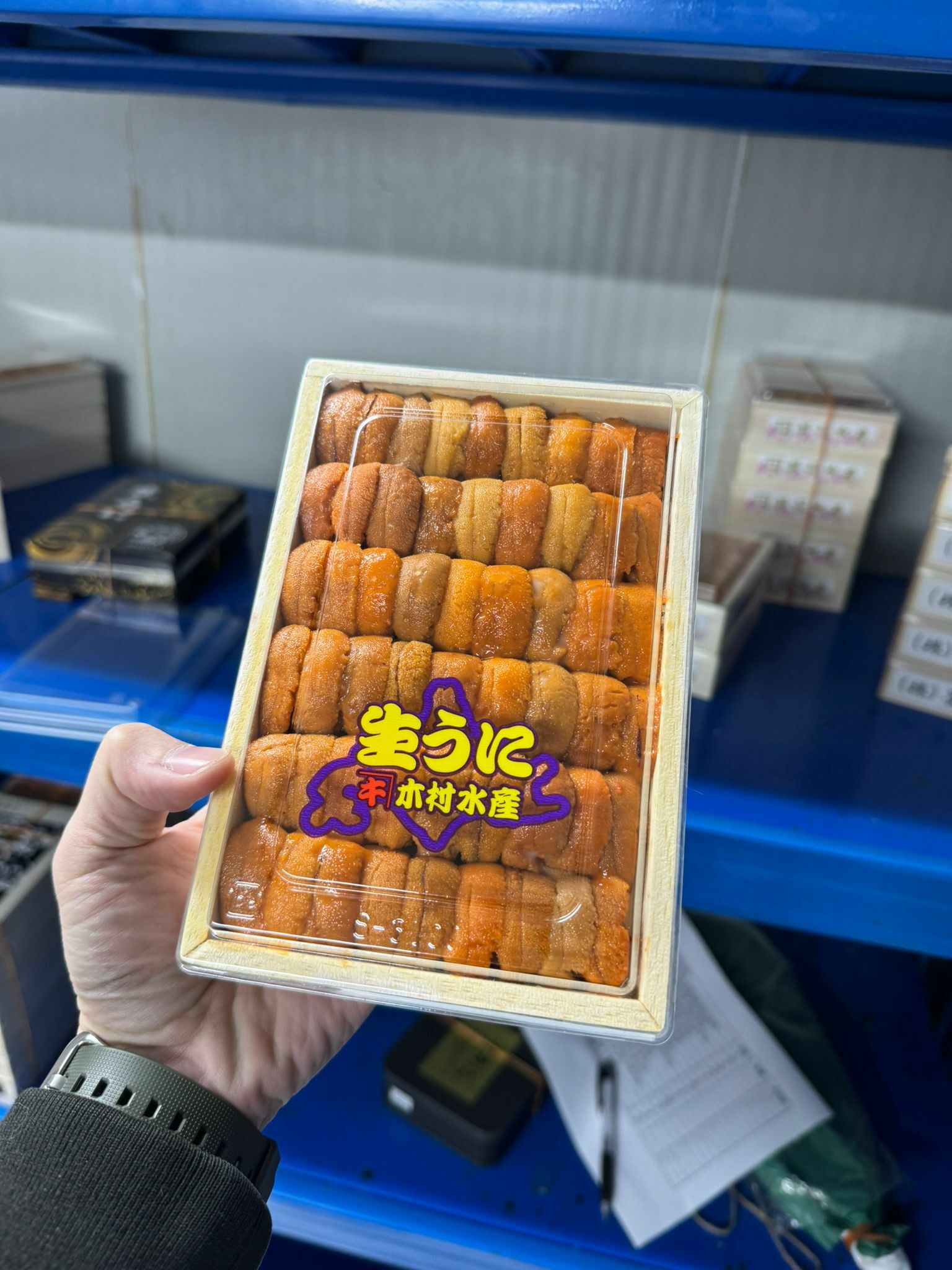 木村水產  A Grade 馬糞海膽 直排 250克