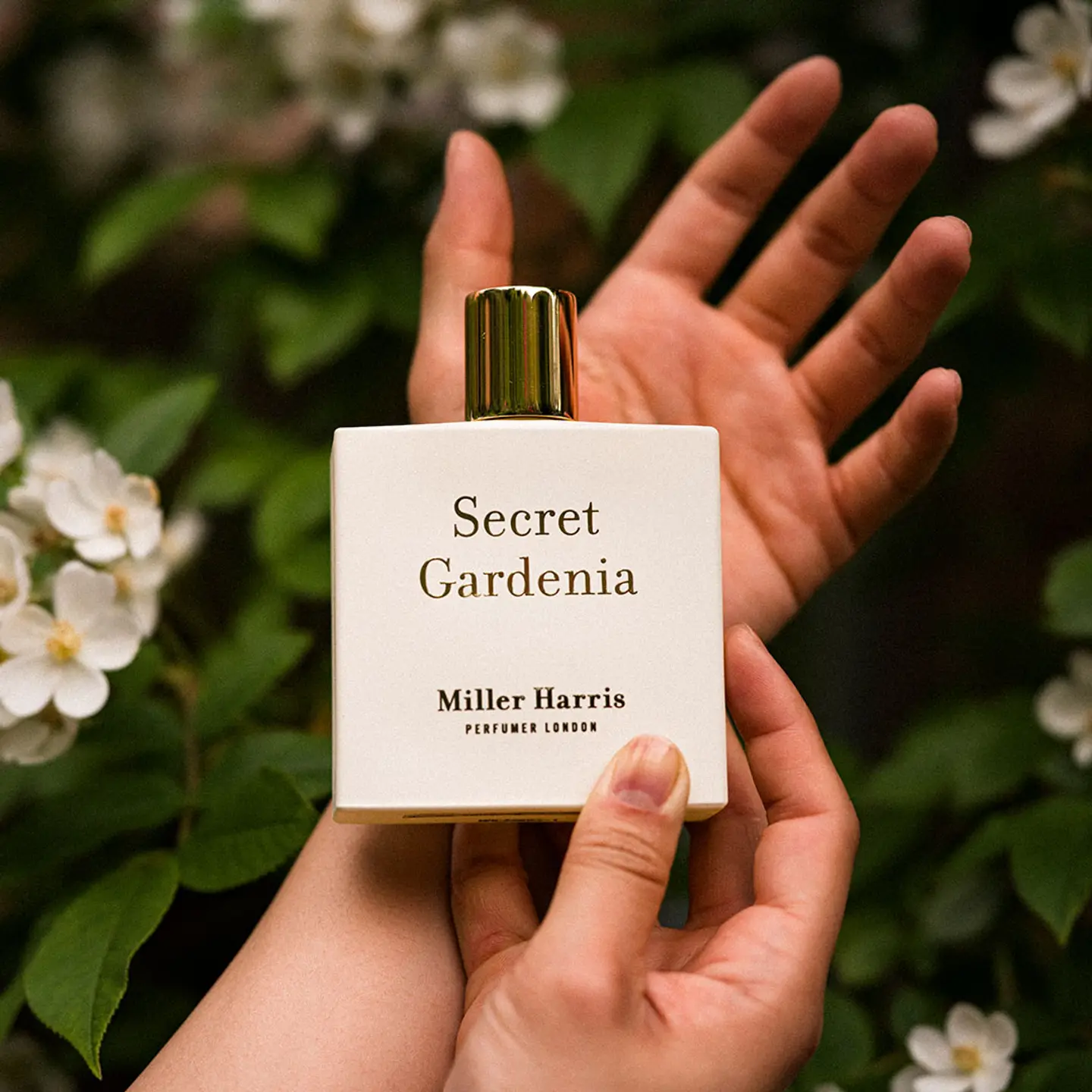 Secret Gardenia - Miller Harris