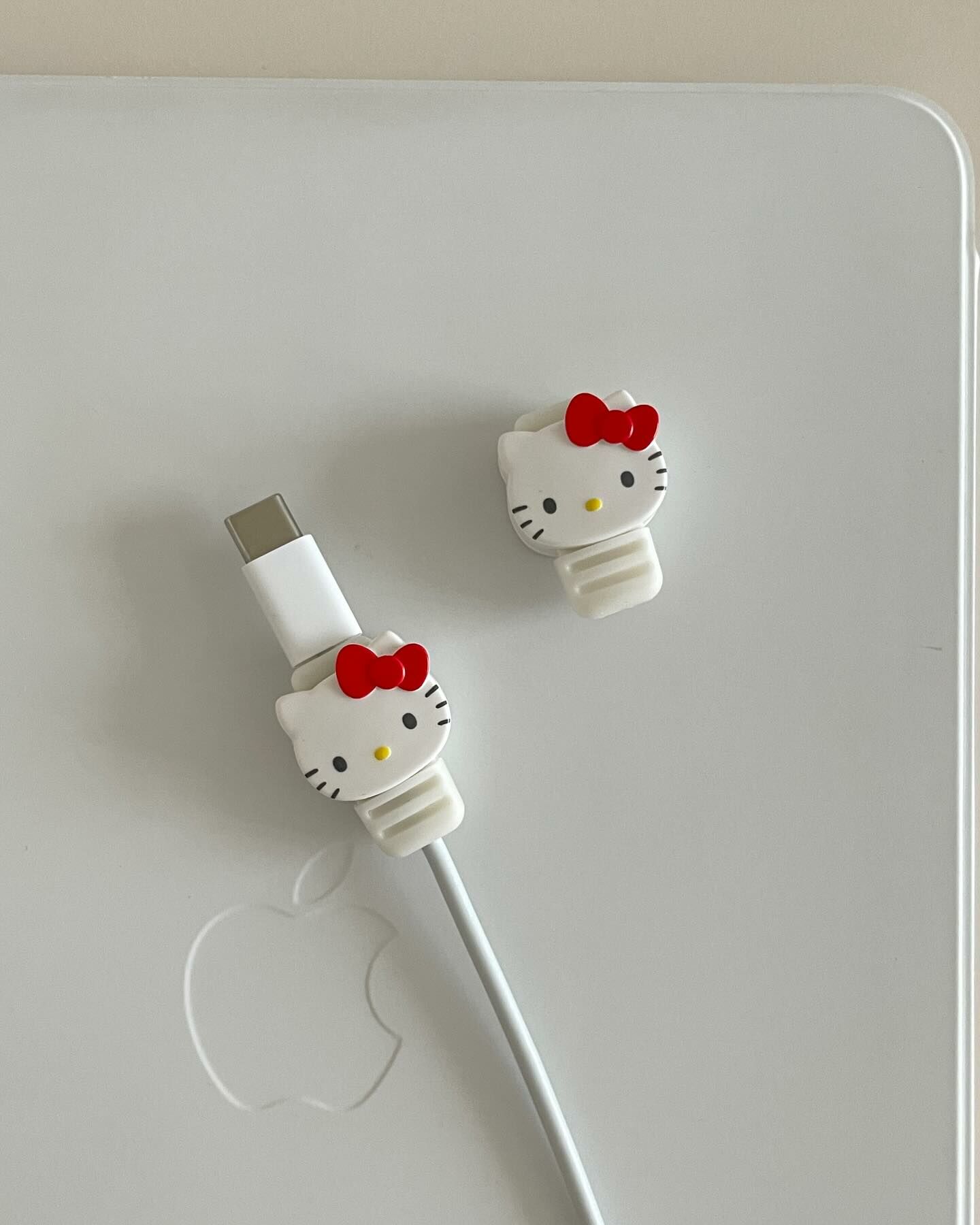現貨┃日本 Sanrio Kitty 美樂蒂 三麗鷗 充電線 保護套 兩入