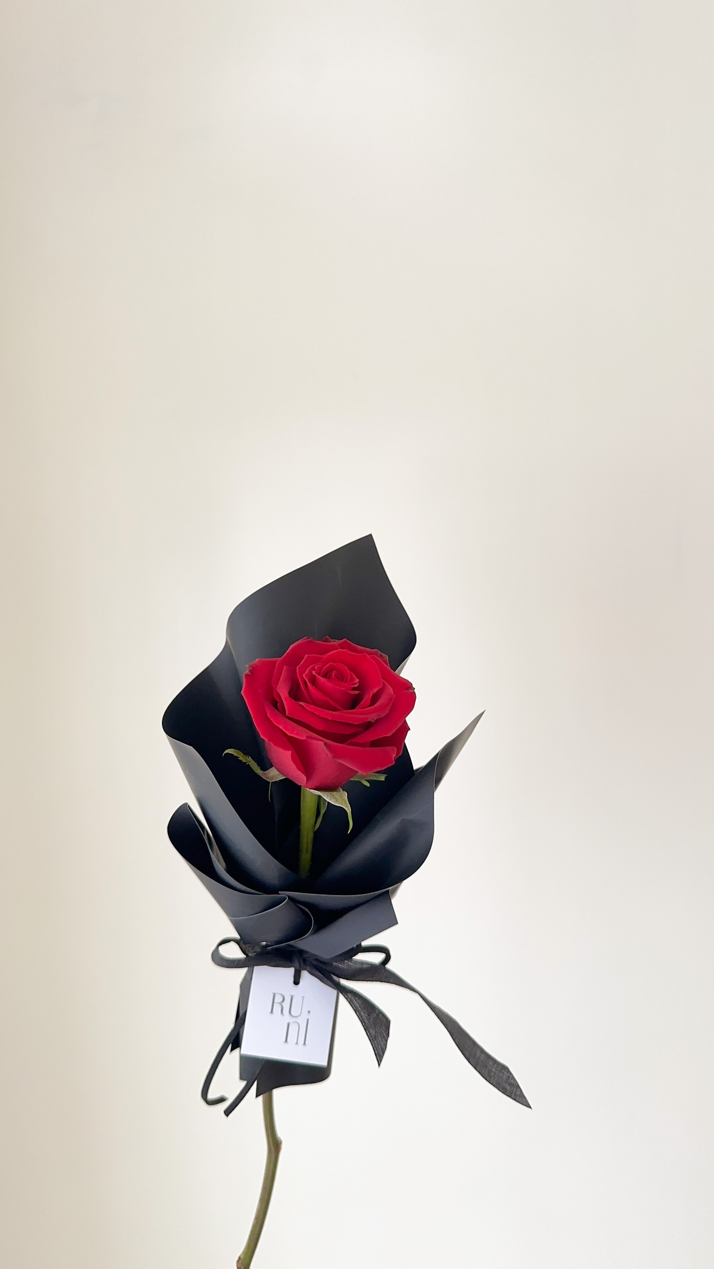 玫瑰之約-單支進口紅玫瑰花花束