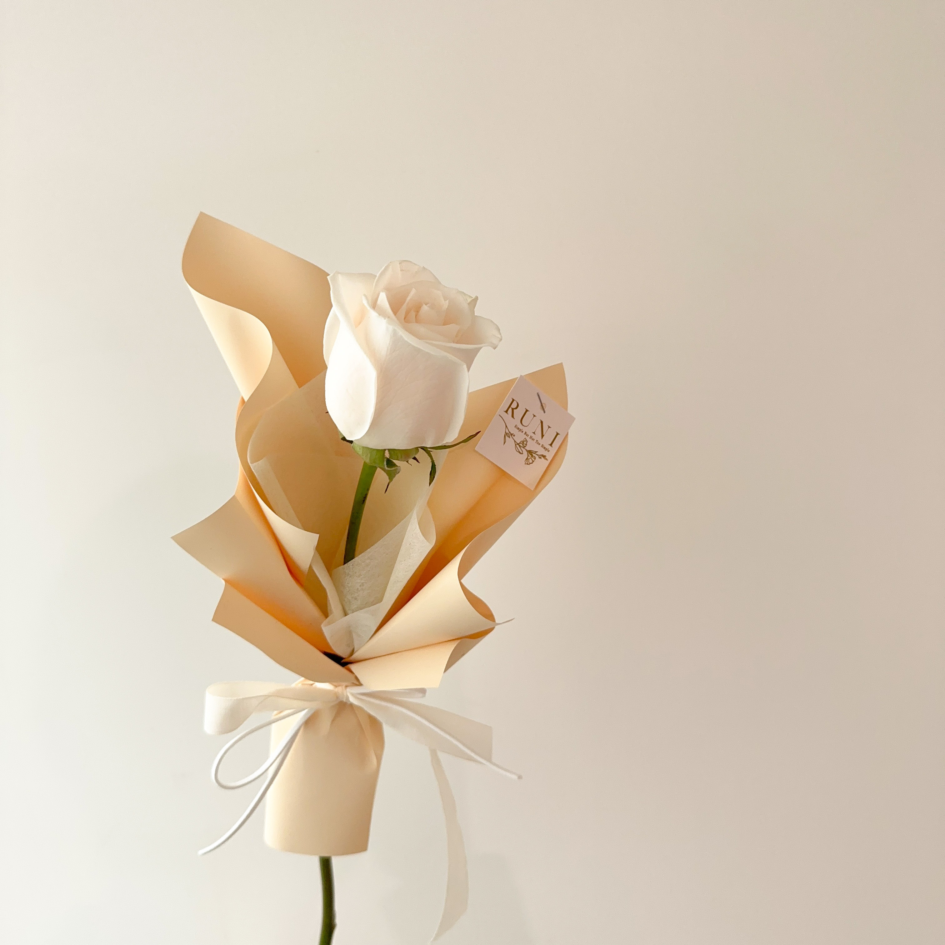 玫瑰之約-單支進口白玫瑰花花束