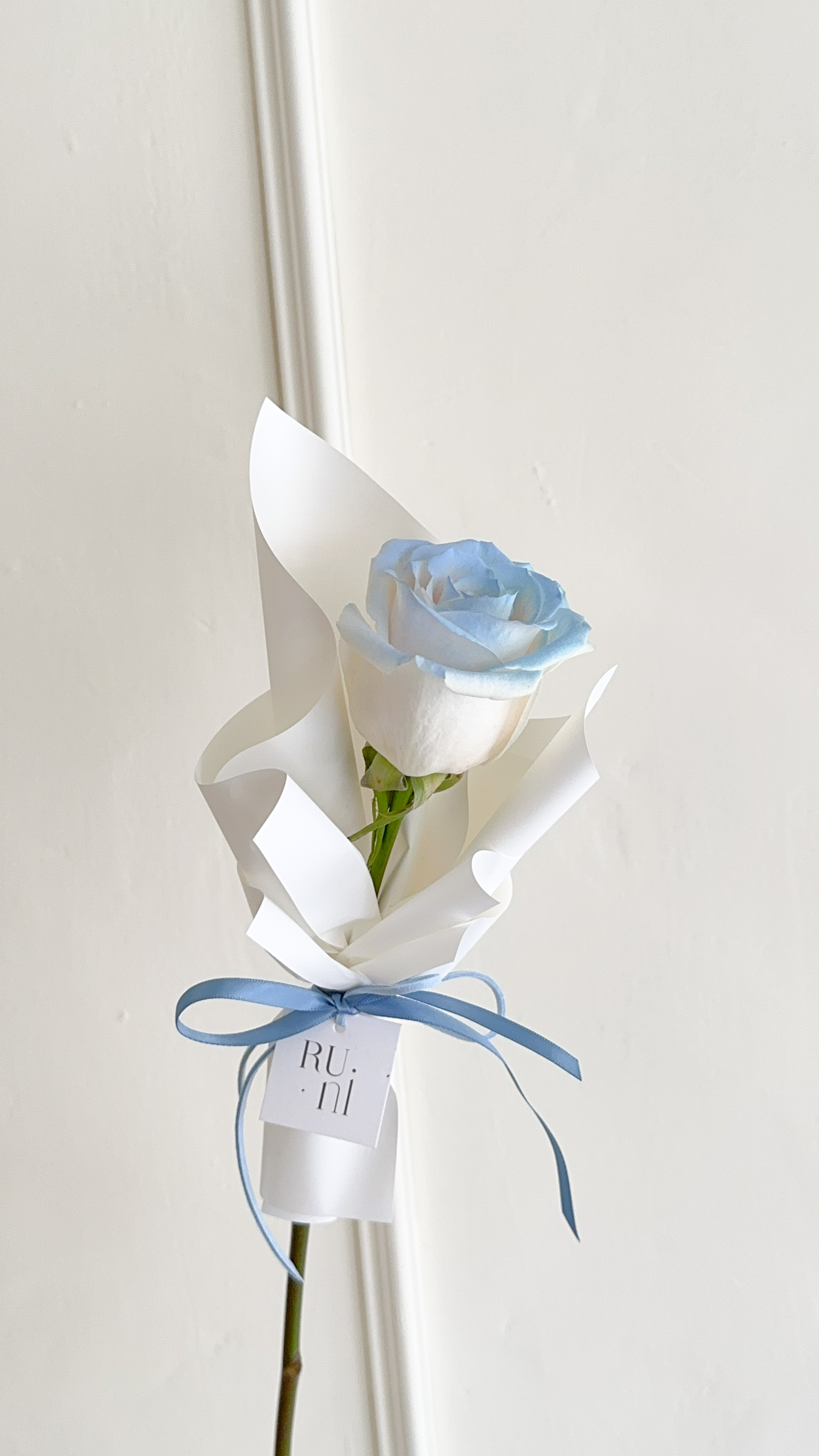 玫瑰之約-單支進口噴藍玫瑰花花束