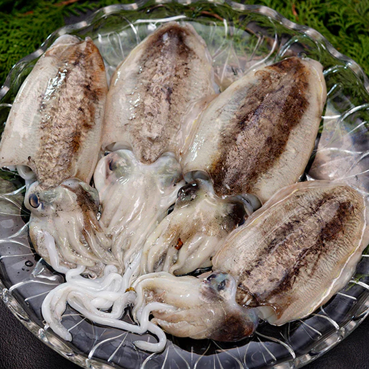 墨烏賊スミイカ
