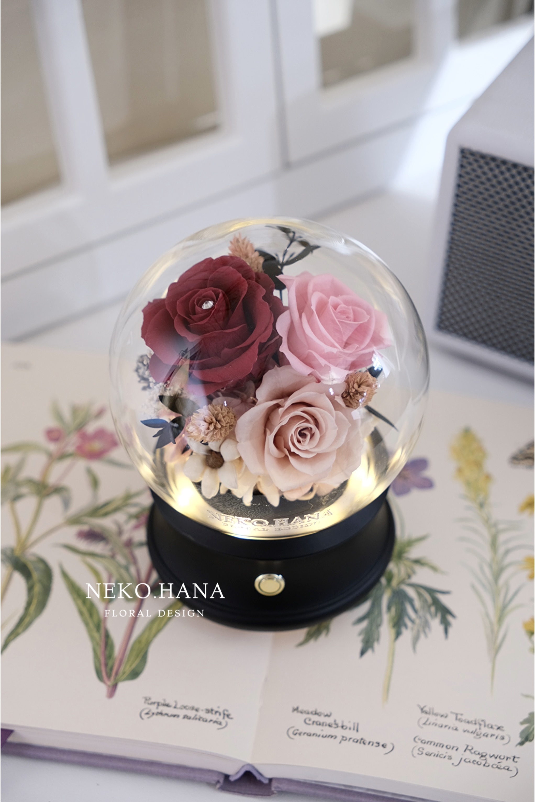 紅裸色永生花藍芽音響