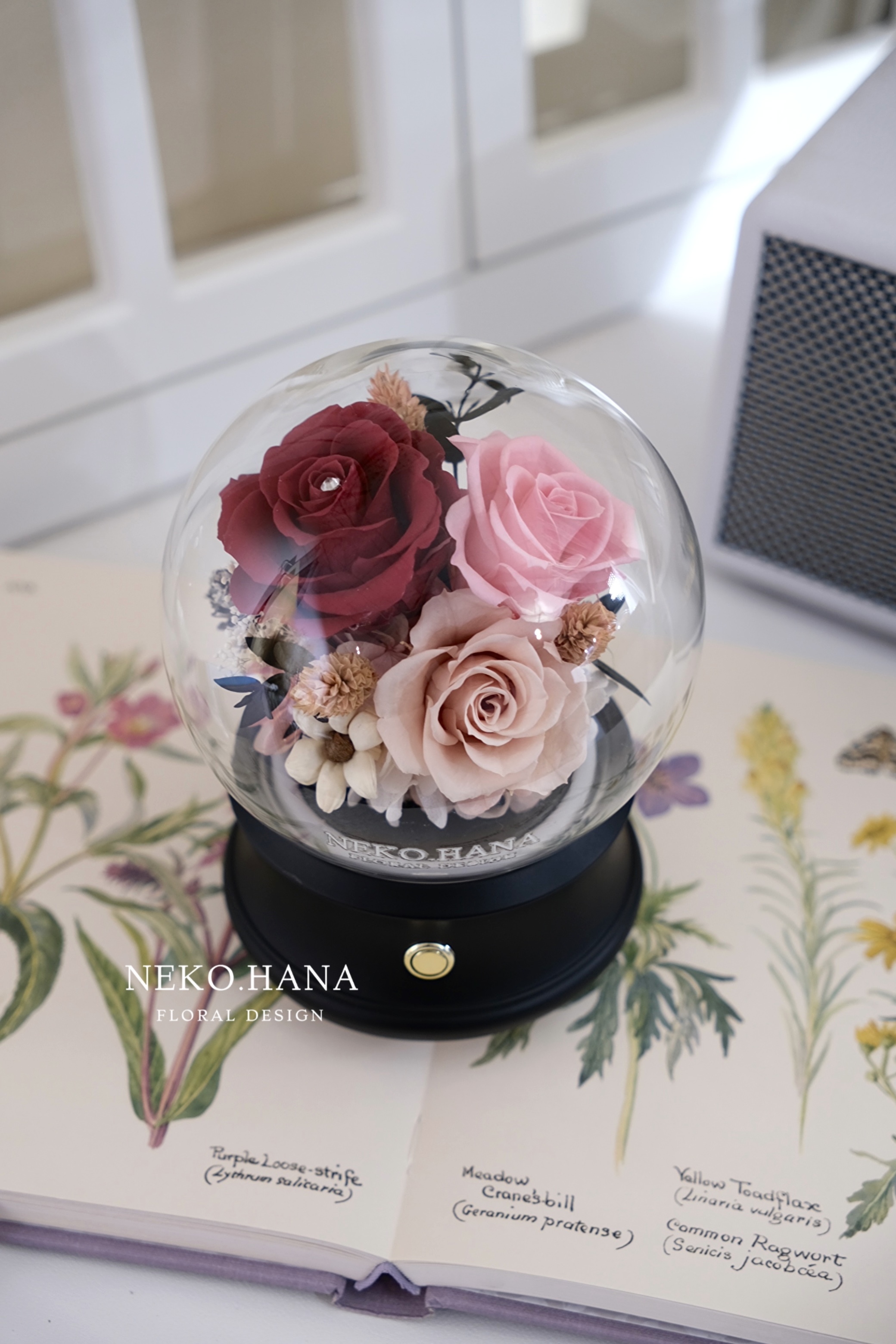 紅裸色永生花藍芽音響