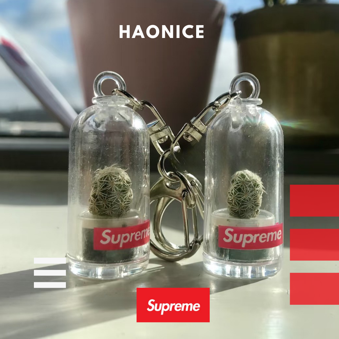 [Nice日韓歐美代購］Supreme 獨家❗️ 真仙人掌球supreme創意鑰匙圈 底下有洞可以加水