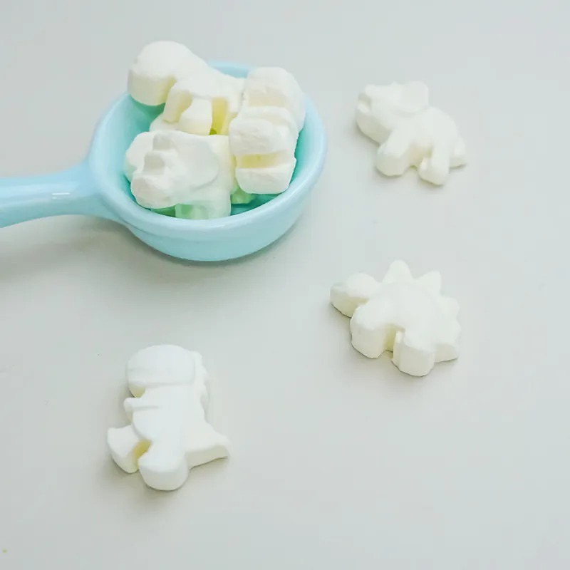 【Nature Bite】恐龍濃濃優格-四款可選(25g)