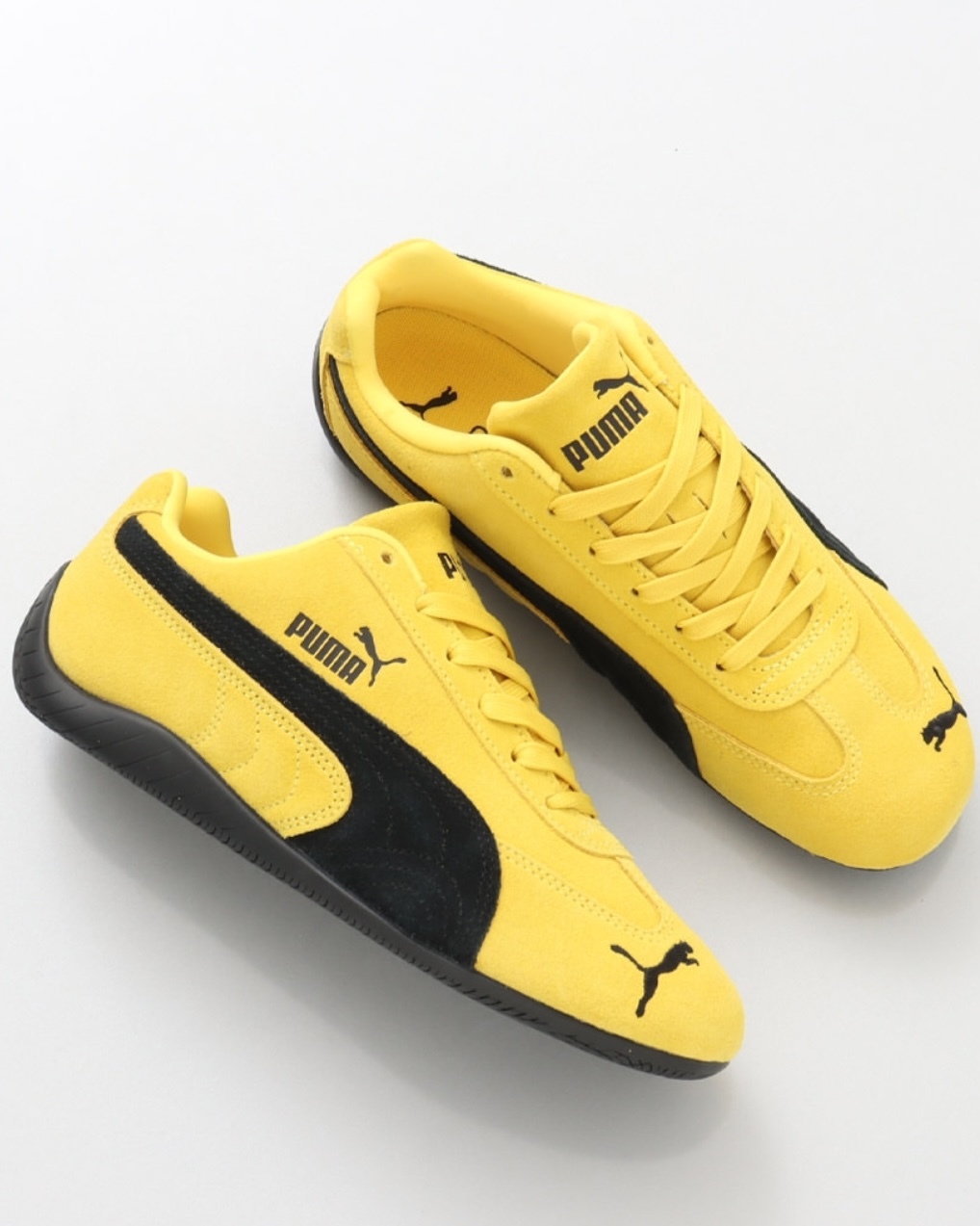 【Focus Store】預購 Puma Speedcat OG "Pelé Yellow Black" 黃黑 398846-19