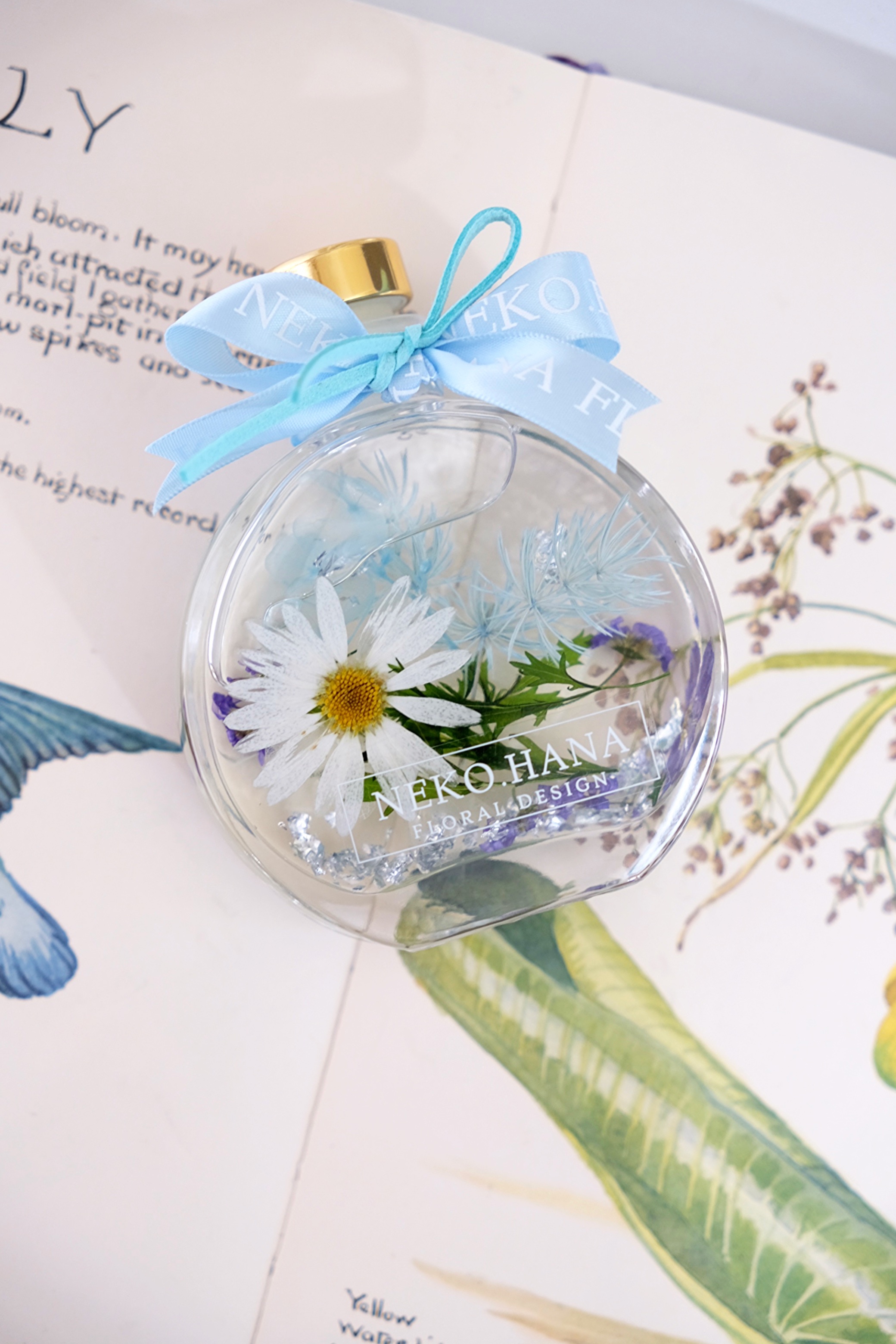 浮游花* 森林之花