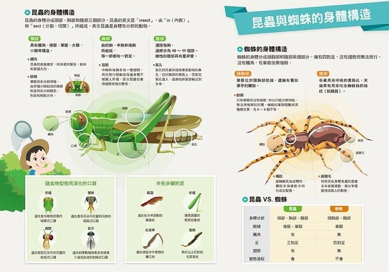 漫畫大英百科【生物地科1】：昆蟲與蜘蛛