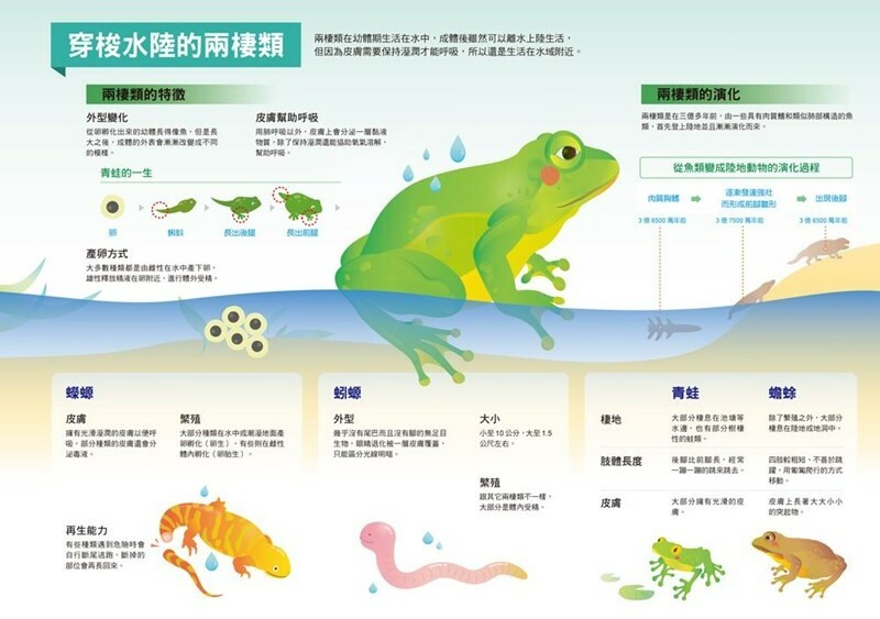 漫畫大英百科【生物地科4】：兩棲類與爬蟲類