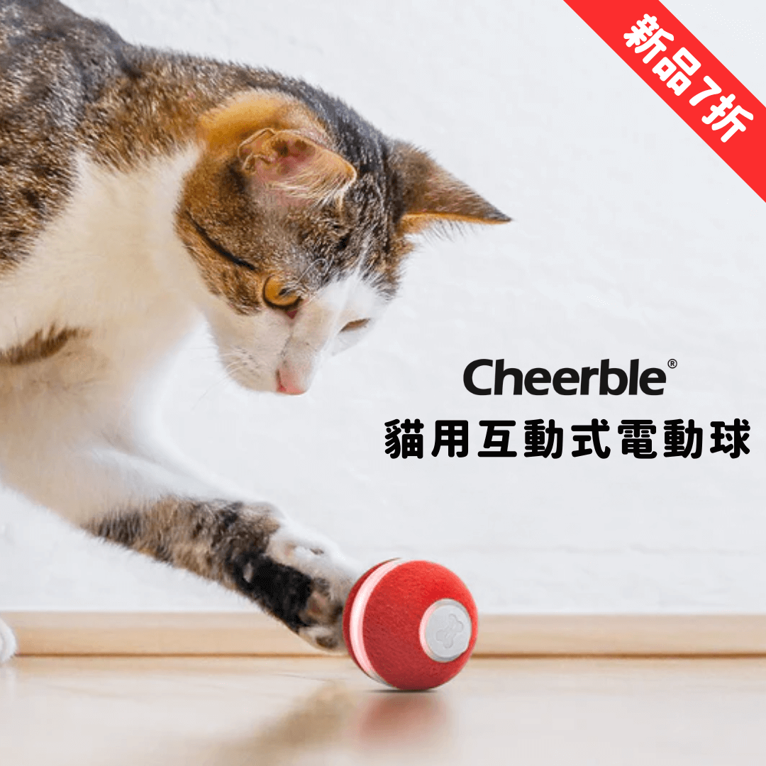【現貨7折】Cheerble M1貓用互動式電動球