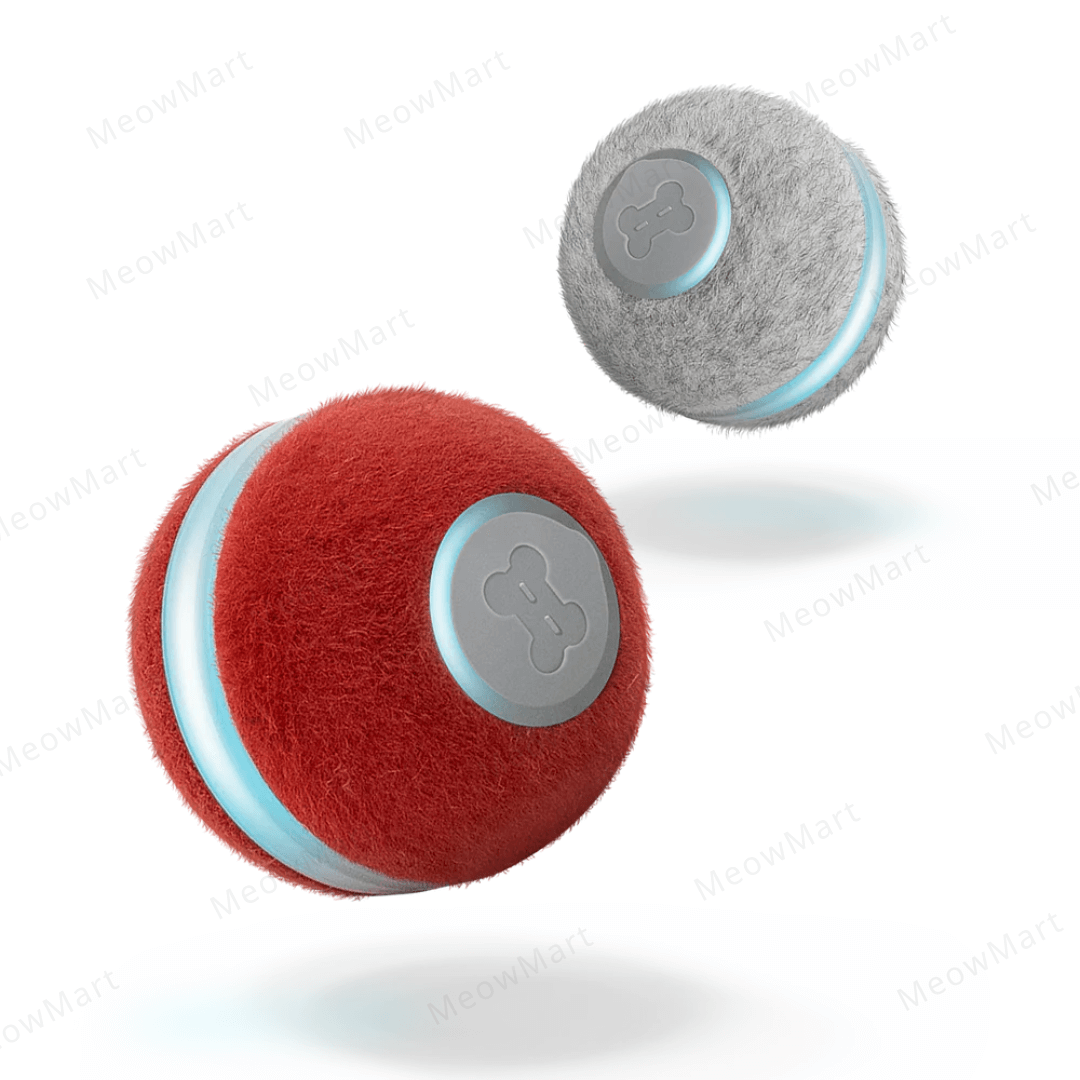 Cheerble M1貓用互動式電動球