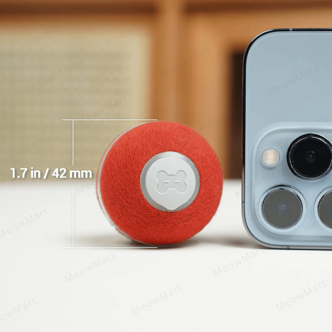 Cheerble M1貓用互動式電動球